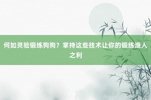 何如灵验锻练狗狗？掌持这些技术让你的锻练渔人之利