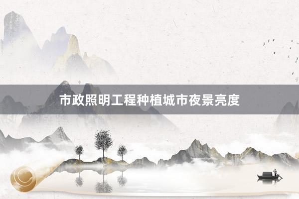 市政照明工程种植城市夜景亮度